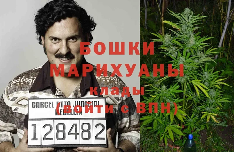 Бошки марихуана Ganja  kraken   Мыски 